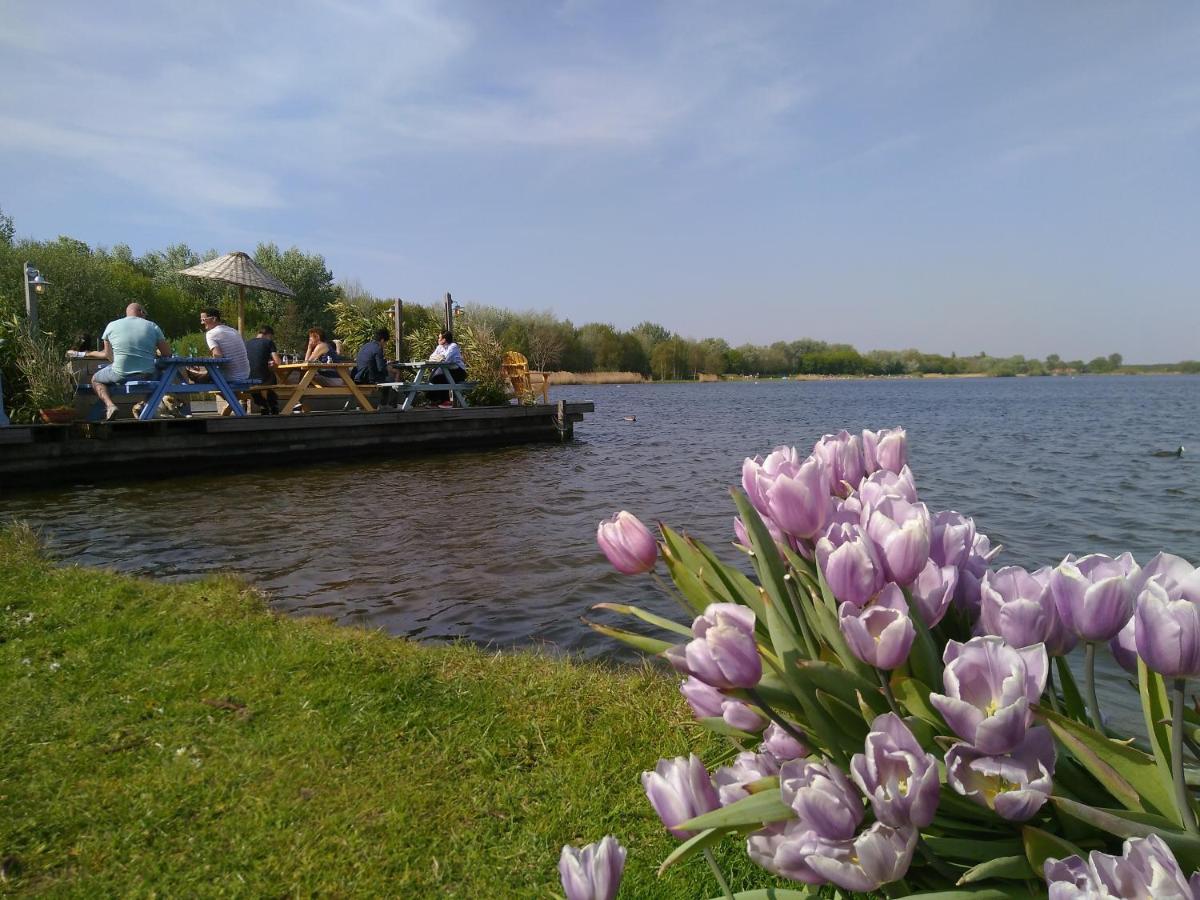 Het Zeepaartje, Knus En Gezellig Villa Noordwijkerhout Exterior foto